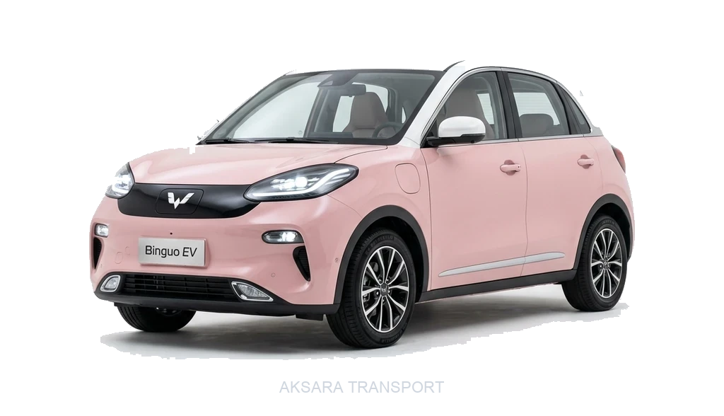 Sewa Wuling Binguo EV Jogja